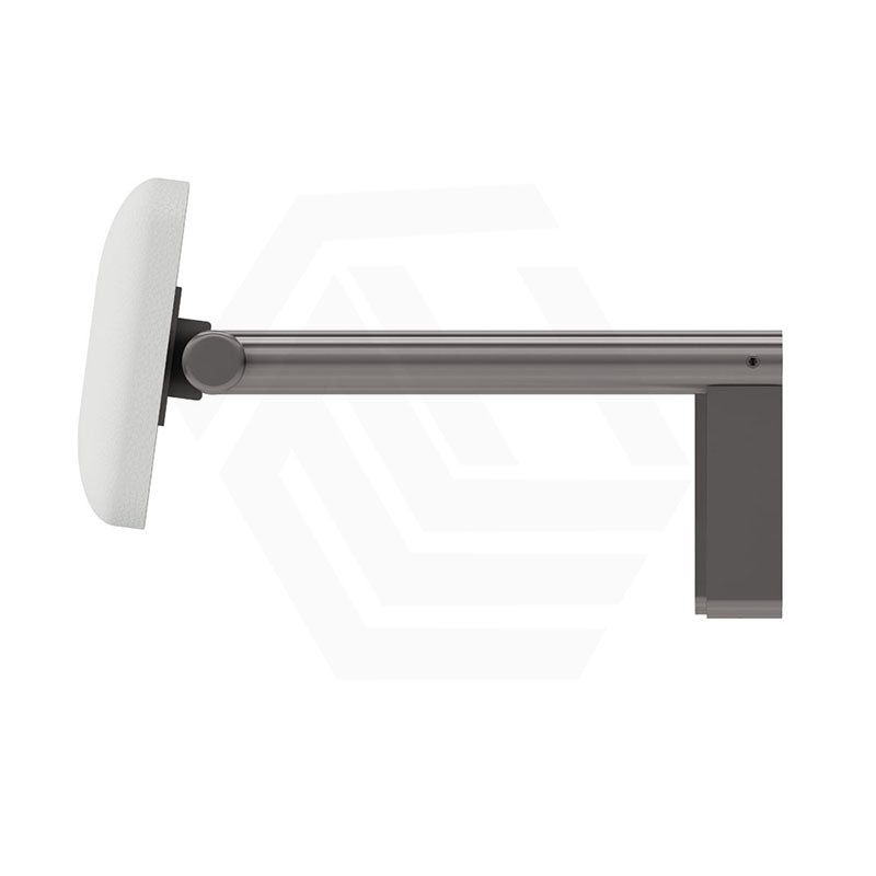 Fienza Stainless Steel Back Rest For Accessible Toilet Suites Variant Colour Available