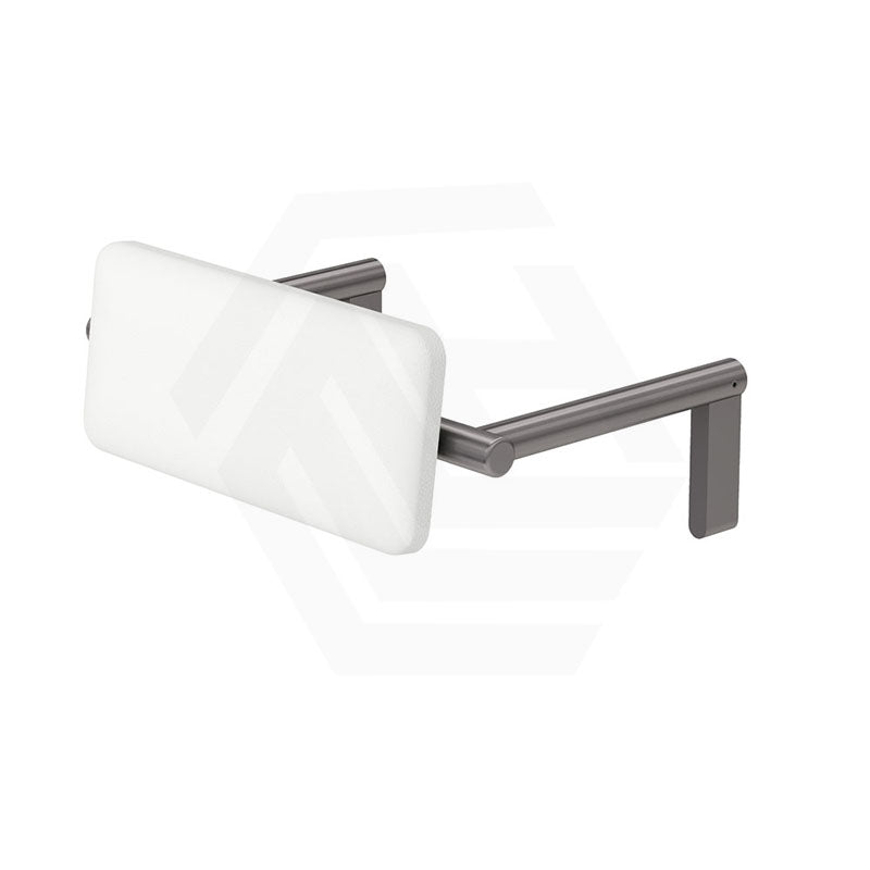 Fienza Stainless Steel Back Rest For Accessible Toilet Suites Variant Colour Available