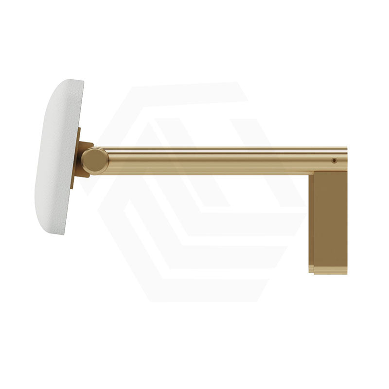 Fienza Stainless Steel Back Rest For Accessible Toilet Suites Variant Colour Available