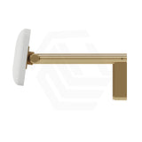 Fienza Stainless Steel Back Rest For Accessible Toilet Suites Variant Colour Available