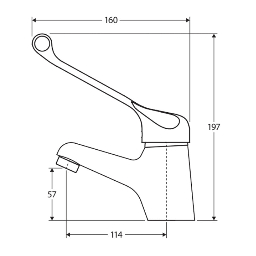 Fienza Stella Care Fixed Basin Mixer