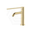 G#2(Gold) Fienza Kaya Care Short Basin Mixer Lead Free Stainless Steel 