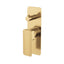 G#2(Gold) Fienza Tono Wall Diverter Mixer with Rectangular Plate Brushed Gold