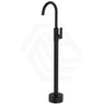 Fienza Tono Floor Mounted Standing Basin Bath Mixer Variant Colour Available