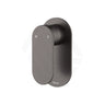 Fienza Empire Slim Stainless Steel Wall Mixer, Oval Plate Variant Colour Available