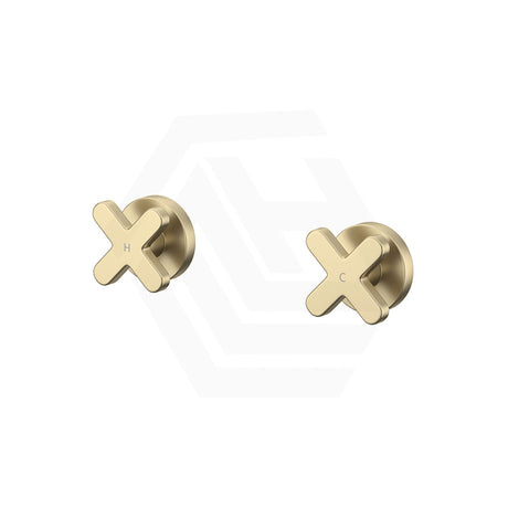 Fienza Kaya Cross Lead Free Brass Wall Top Assemblies Variant Colour Available