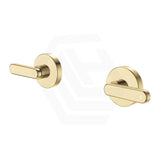 Fienza Kaya Lever Lead Free Brass Wall Top Assemblies Variant Colour Available