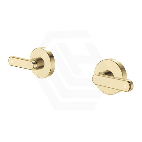 Fienza Kaya Lever Lead Free Brass Wall Top Assemblies Variant Colour Available