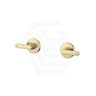 Fienza Kaya Lever Lead Free Brass Wall Top Assemblies Variant Colour Available