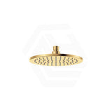 Fienza Starry Eco Flow Stainless Steel 200mm Shower Head Variant Colour Available