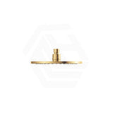 Fienza Starry Eco Flow Stainless Steel 200mm Shower Head Variant Colour Available