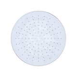 Fienza Starry Stainless Steel Round 300mm Shower Head - Variant Colour