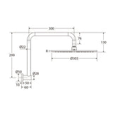 Fienza Empire Slim Gooseneck Shower Arm Set Stainless Steel Variant Colour Available