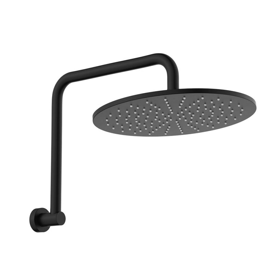 Fienza Empire Slim Gooseneck Shower Arm Set Stainless Steel Variant Colour Available