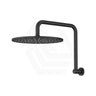 Fienza Empire Slim Gooseneck Shower Arm Set Stainless Steel Variant Colour Available