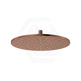 Fienza Starry Stainless Steel Round 300mm Shower Head - Variant Colour