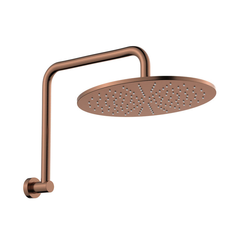 Fienza Empire Slim Gooseneck Shower Arm Set Stainless Steel Variant Colour Available
