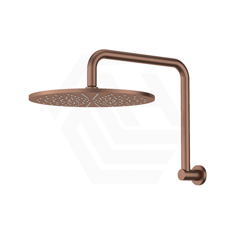Fienza Empire Slim Gooseneck Shower Arm Set Stainless Steel Variant Colour Available