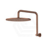 Fienza Empire Slim Gooseneck Shower Arm Set Stainless Steel Variant Colour Available