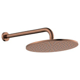 Fienza Empire Slim Shower Arm Set Stainless Steel Colors Available