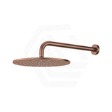 Fienza Empire Slim Shower Arm Set Stainless Steel Colors Available