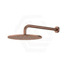 Fienza Empire Slim Shower Arm Set Stainless Steel Colors Available
