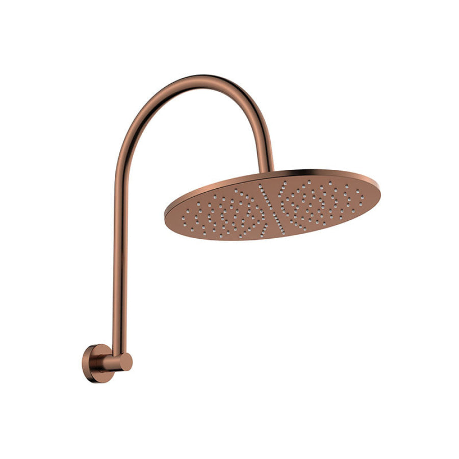 Fienza Empire Slim Curved Stainless Steel Shower Arm Set Variant Colour Available