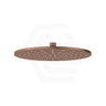Fienza Starry Stainless Steel Round 300mm Shower Head Various Colours Available