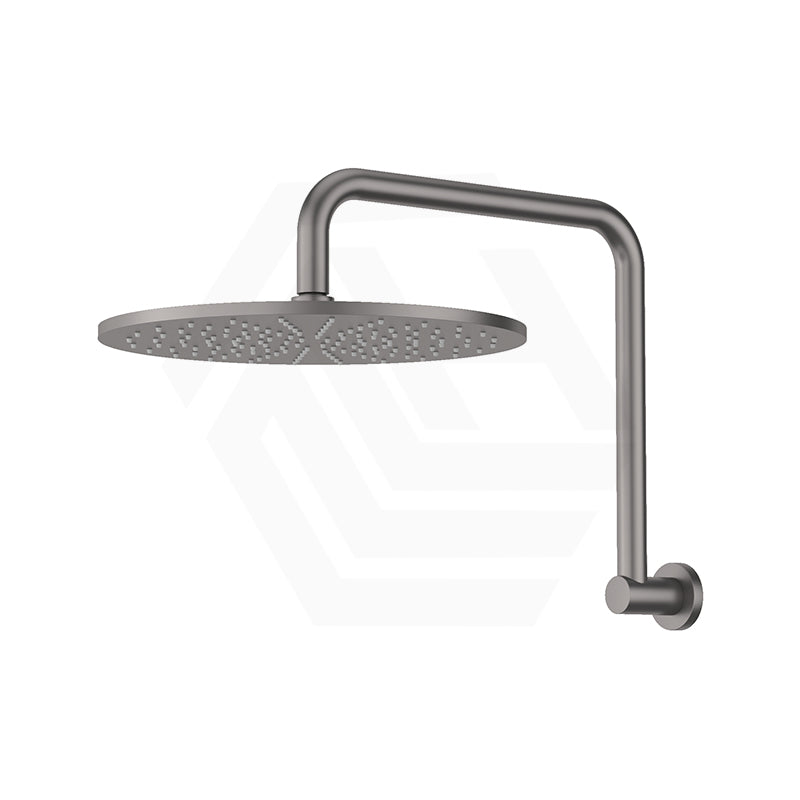 Fienza Empire Slim Gooseneck Shower Arm Set Stainless Steel Variant Colour Available