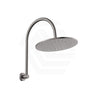 Fienza Empire Slim Curved Stainless Steel Shower Arm Set Variant Colour Available