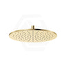 Fienza Starry Stainless Steel Round 300mm Shower Head - Variant Colour