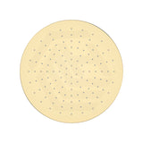 Fienza Starry Stainless Steel Round 300mm Shower Head - Variant Colour