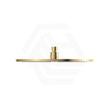 Fienza Starry Stainless Steel Round 300mm Shower Head - Variant Colour