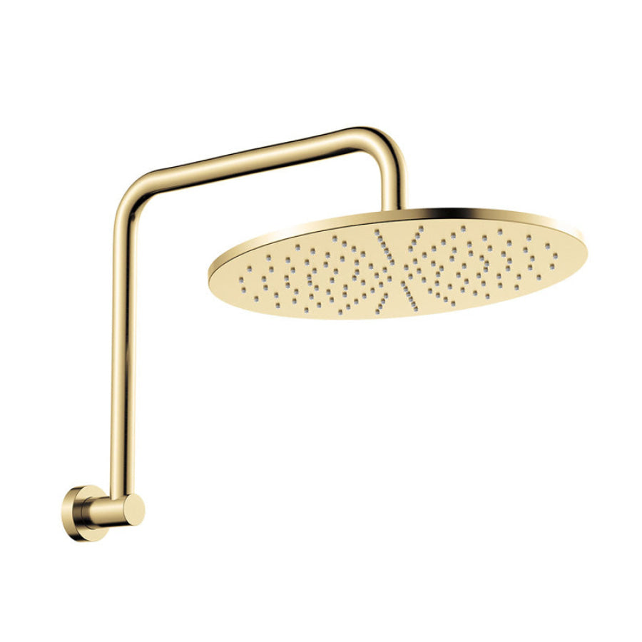 Fienza Empire Slim Gooseneck Shower Arm Set Stainless Steel Variant Colour Available