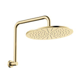 Fienza Empire Slim Gooseneck Shower Arm Set Stainless Steel Variant Colour Available