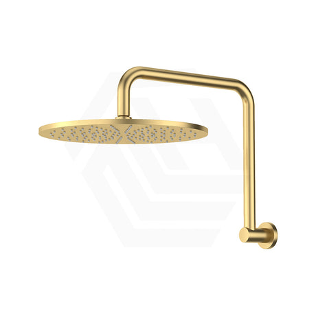 Fienza Empire Slim Gooseneck Shower Arm Set Stainless Steel Variant Colour Available