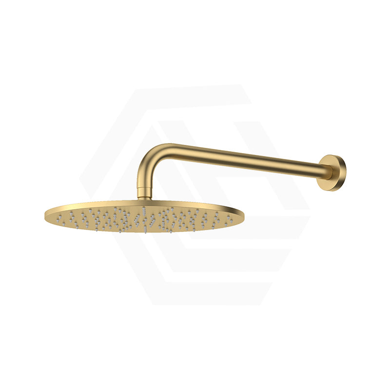 Fienza Empire Slim Shower Arm Set Stainless Steel Colors Available