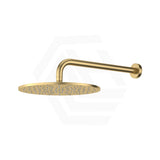 Fienza Empire Slim Shower Arm Set Stainless Steel Colors Available