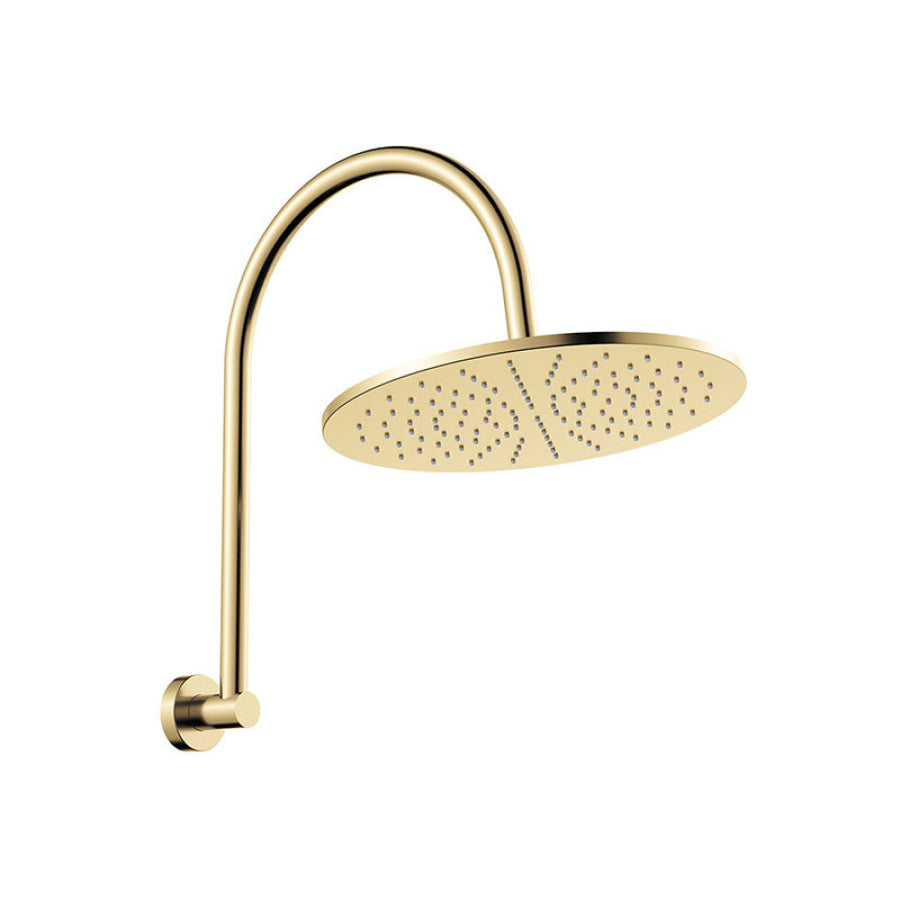 Fienza Empire Slim Curved Stainless Steel Shower Arm Set Variant Colour Available