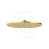 Fienza Starry Stainless Steel Round 300mm Shower Head Various Colours Available
