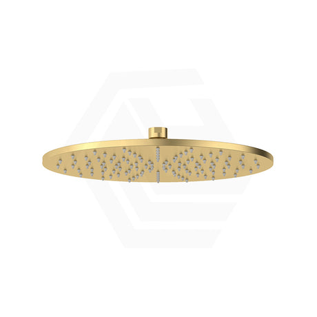 Fienza Starry Stainless Steel Round 300mm Shower Head Various Colours Available