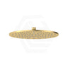 Fienza Starry Stainless Steel Round 300mm Shower Head Various Colours Available