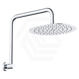 Fienza Kaya Ultra Thin Gooseneck Stainless Steel Shower Arm Set Variant Colour Available