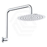 Fienza Kaya Ultra Thin Gooseneck Stainless Steel Shower Arm Set Variant Colour Available