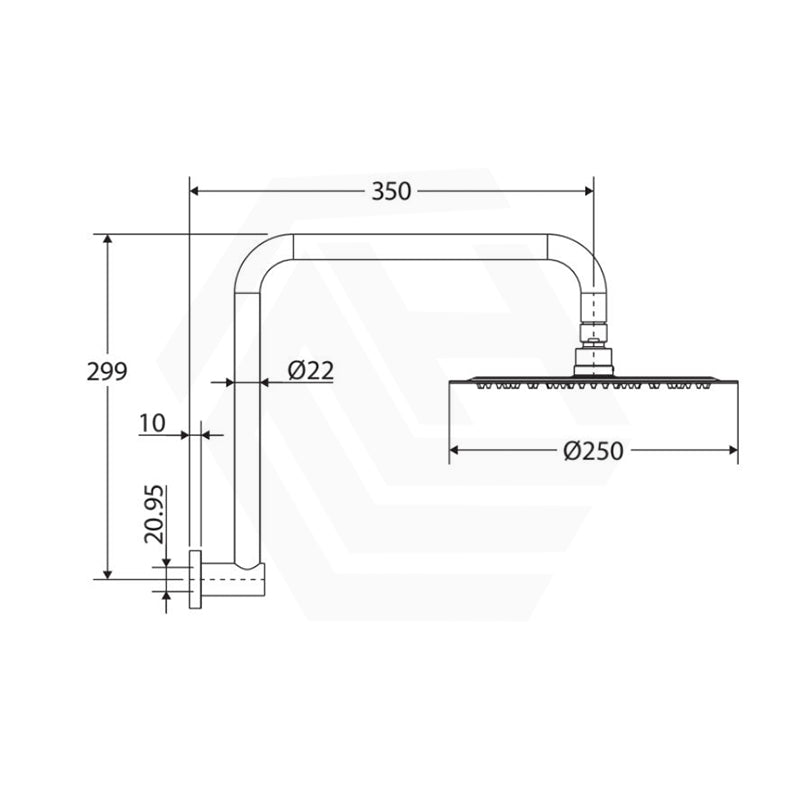 Fienza Kaya Ultra Thin Gooseneck Stainless Steel Shower Arm Set Variant Colour Available