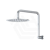 Fienza Kaya Ultra Thin Gooseneck Stainless Steel Shower Arm Set Variant Colour Available