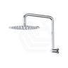 Fienza Kaya Ultra Thin Gooseneck Stainless Steel Shower Arm Set Variant Colour Available