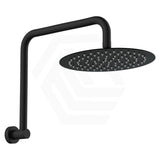 Fienza Kaya Ultra Thin Gooseneck Stainless Steel Shower Arm Set Variant Colour Available