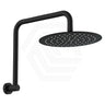 Fienza Kaya Ultra Thin Gooseneck Stainless Steel Shower Arm Set Variant Colour Available