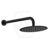 Fienza Kaya Stainless Steel Wall Mounted Shower Arm Set Variant Colour Available